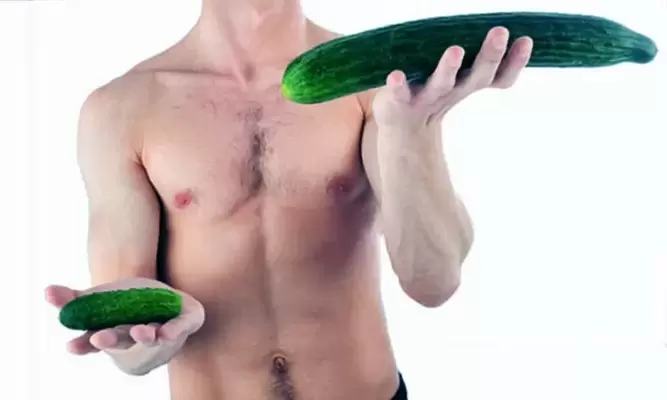 tamaño do pene pequeno e grande usando o exemplo dos pepinos